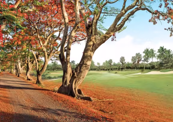 Image Mont Choisy Le Golf